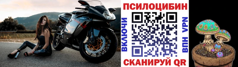 Псилоцибиновые грибы прущие грибы  Владимир 